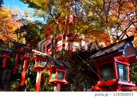 牛若丸ゆかりの寺 鞍馬寺の紅葉 129368055