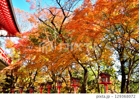 牛若丸ゆかりの寺 鞍馬寺の紅葉 129368072