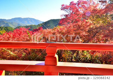 牛若丸ゆかりの寺 鞍馬寺の紅葉 129368142