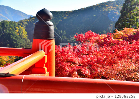 牛若丸ゆかりの寺 鞍馬寺の紅葉 129368258