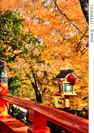 牛若丸ゆかりの寺 鞍馬寺の紅葉 129368261