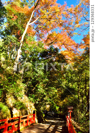 牛若丸ゆかりの寺 鞍馬寺の紅葉 牛若丸ゆかりの寺 鞍馬寺の紅葉 129368331
