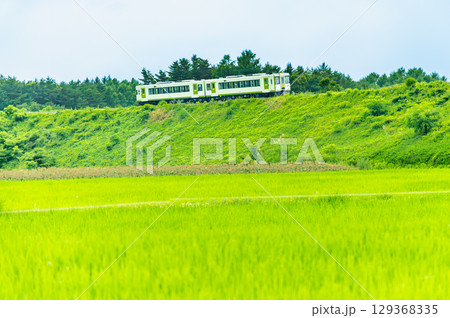 小海線 小淵沢の大カーブ 朝靄のかかる夏の早朝 小海線 小淵沢の大カーブ 朝靄のかかる夏の早朝 129368335