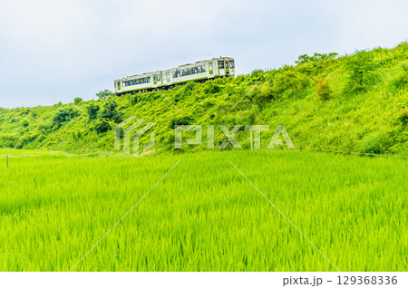 小海線 小淵沢の大カーブ　朝靄のかかる夏の早朝 129368336