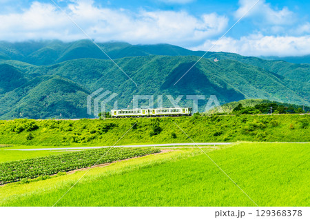夏の小海線 小淵沢の大カーブ 夏の小海線 小淵沢の大カーブ 129368378