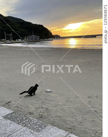 穴を掘り太陽を沈める黒猫 穴を掘り太陽を沈める黒猫 129368671