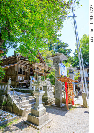 初夏の飯盛神社　福岡県福岡市 129368727