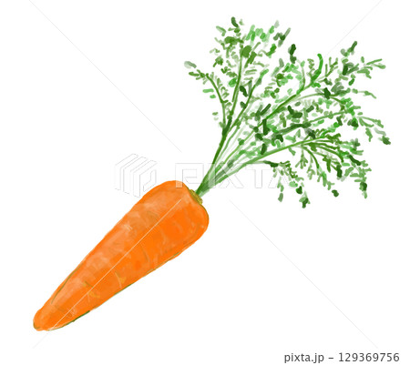 葉のついたニンジンのイラスト 129369756