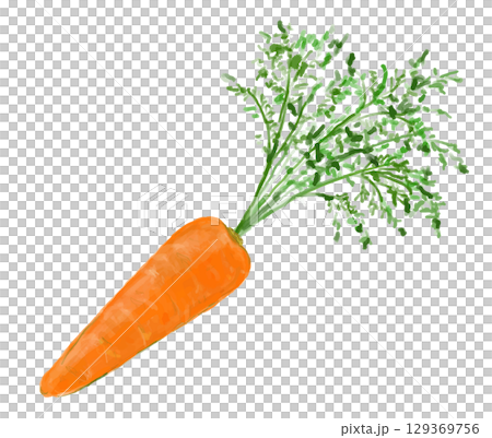 Illustration of a carrot with leaves 129369756