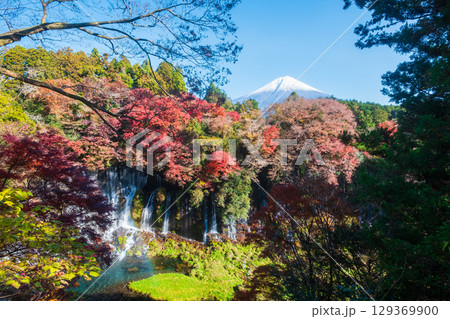 白糸の滝と富士山（秋） 129369900
