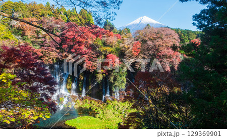 白糸の滝と富士山（秋） 129369901