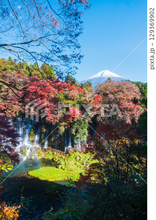 白糸の滝と富士山（秋） 129369902