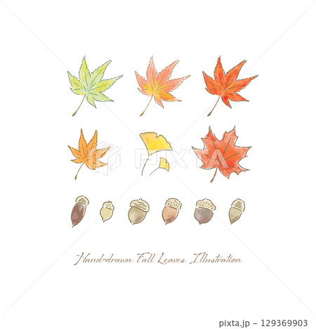秋の紅葉やイチョウ、楓、どんぐりのアイコン素材セット (ベクター、手描き、水彩画) 129369903