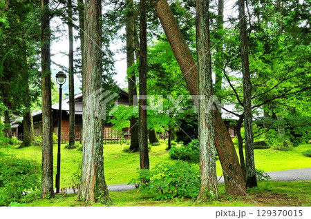 栃木県 日光田母沢御用邸記念公園の周遊散策路 栃木県 日光田母沢御用邸記念公園の周遊散策路 129370015