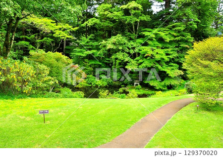 栃木県 日光田母沢御用邸記念公園の周遊散策路 栃木県 日光田母沢御用邸記念公園の周遊散策路 129370020