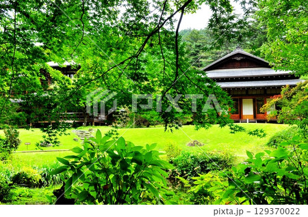 栃木県 日光田母沢御用邸記念公園の周遊散策路 栃木県 日光田母沢御用邸記念公園の周遊散策路 129370022