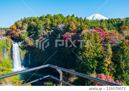 音止の滝と富士山（秋） 129370072