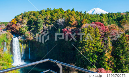音止の滝と富士山（秋） 129370073