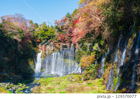 白糸の滝(秋) 白糸の滝(秋) 129370077