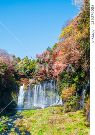 白糸の滝（秋） 129370088
