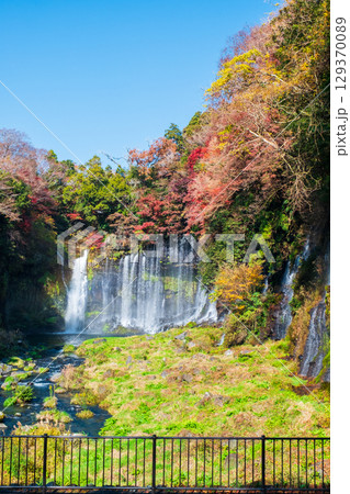 白糸の滝（秋） 129370089