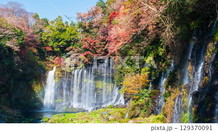 白糸の滝（秋） 129370091