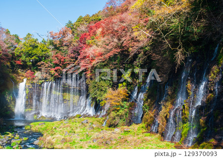 白糸の滝(秋) 白糸の滝(秋) 129370093