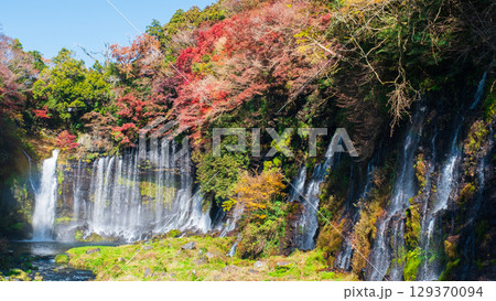 白糸の滝（秋） 129370094