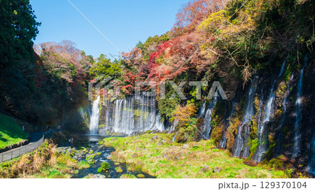 白糸の滝(秋) 白糸の滝(秋) 129370104