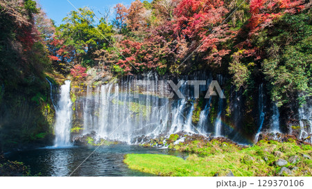 白糸の滝(秋) 白糸の滝(秋) 129370106
