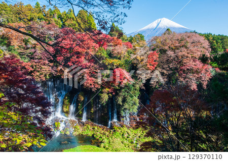 白糸の滝と富士山（秋） 129370110