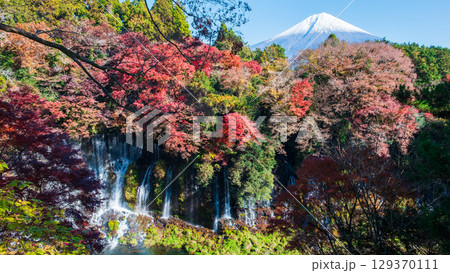 白糸の滝と富士山（秋） 129370111