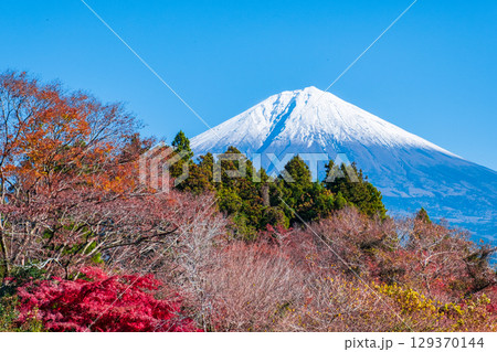 紅葉と富士山 129370144