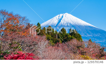 紅葉と富士山 129370146