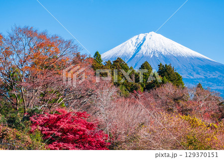 紅葉と富士山 129370151
