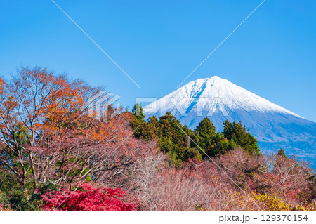紅葉と富士山 紅葉と富士山 129370154