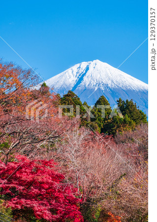紅葉と富士山 129370157