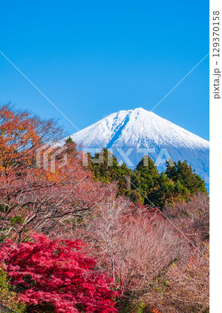紅葉と富士山 紅葉と富士山 129370158