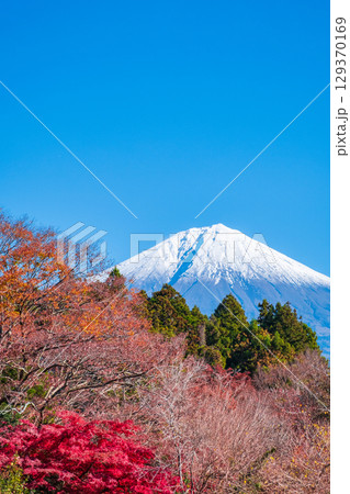 紅葉と富士山 紅葉と富士山 129370169