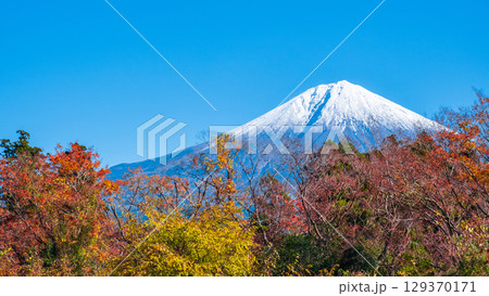 紅葉と富士山 129370171