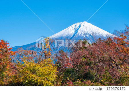 紅葉と富士山 紅葉と富士山 129370172