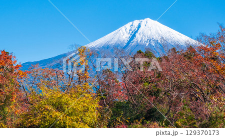 紅葉と富士山 129370173