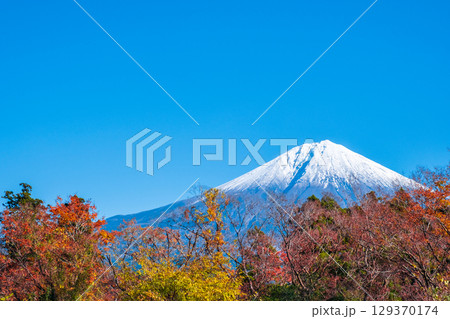 紅葉と富士山 紅葉と富士山 129370174