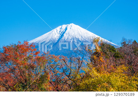 紅葉と富士山 129370189