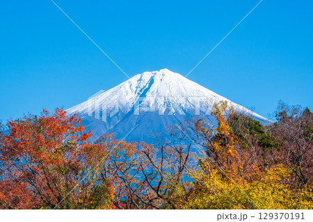 紅葉と富士山 紅葉と富士山 129370191