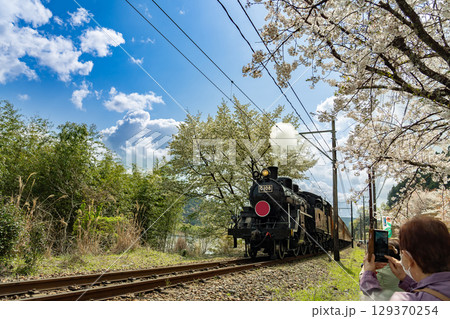 静岡県家山 大井川鐵道の蒸気機関車と桜の写真を撮る観光客 静岡県家山 大井川鐵道の蒸気機関車と桜の写真を撮る観光客 129370254