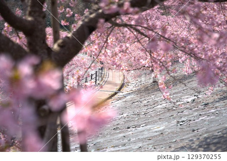 桜のある道 129370255