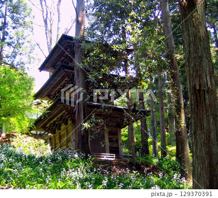 木々に隠れる高蔵寺三重塔 129370391