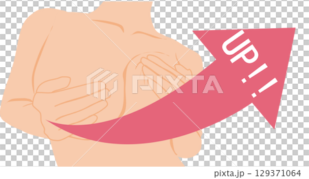 胸部插圖 129371064