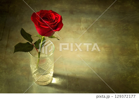 Single Red Rose in Elegant Glass Vase on Vintage Background with Soft Natural Light 129372177